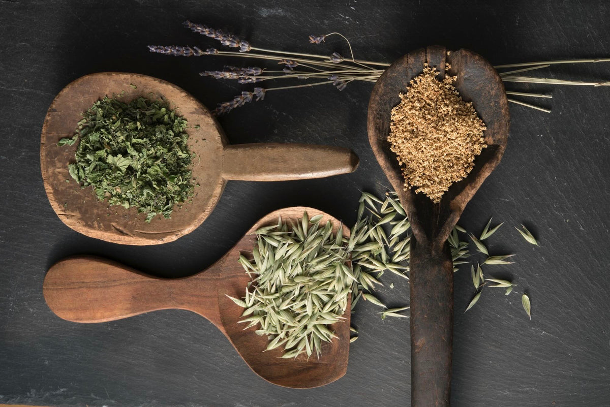 Well Rooted Teas – Well Rooted Teas